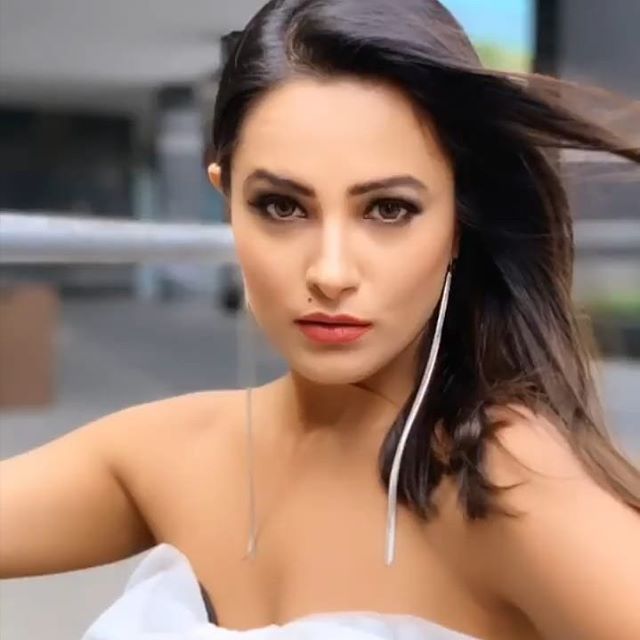 Anita Hassanandani true love story