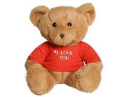 Best Teddy Bear Gift Ideas For Girlfriend | JodiStory